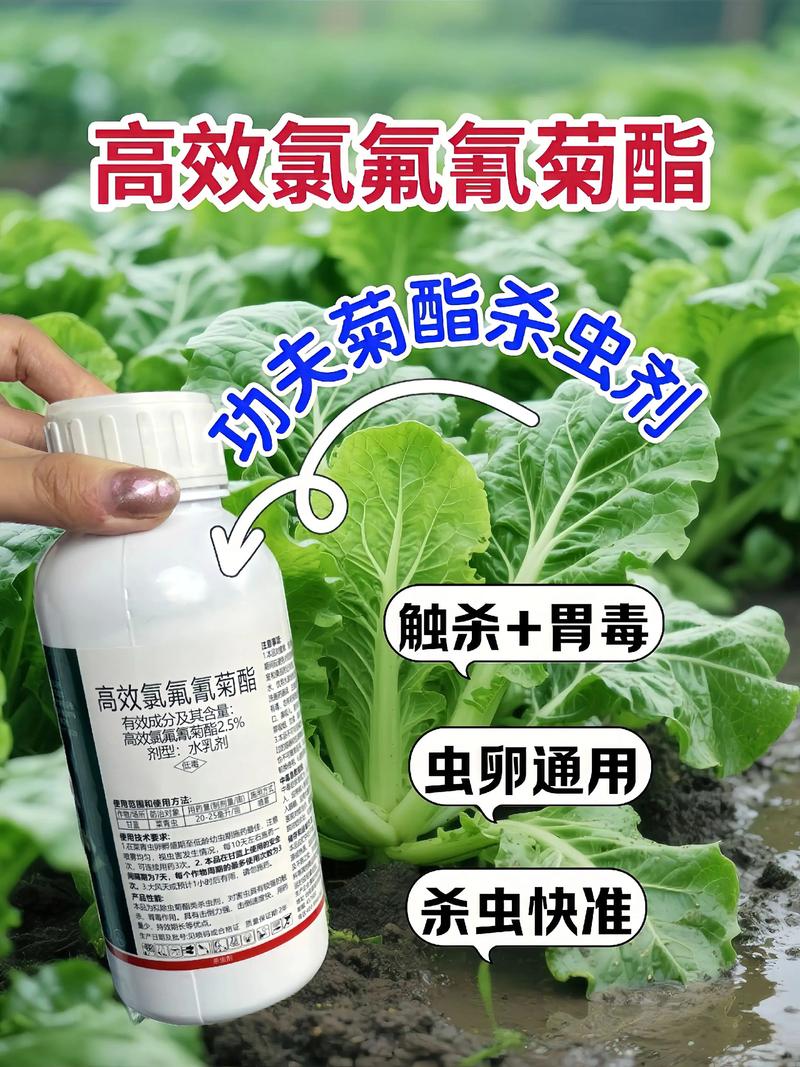 随州代生中心:农药对供卵代生妈妈的危害